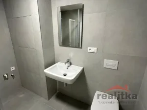 Pronájem bytu 1+kk, Opava, 42 m2