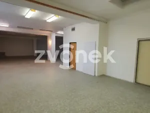 Pronájem skladu, Ostrožská Nová Ves, 1272 m2