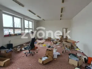 Pronájem skladu, Ostrožská Nová Ves, 1272 m2