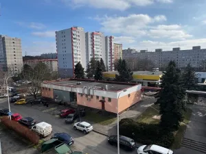 Pronájem bytu 1+1, Praha, Angelovova, 30 m2