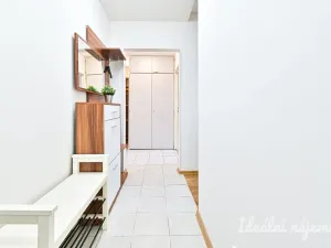 Pronájem bytu 2+1, Brno, Kubíčkova, 55 m2