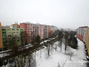 Pronájem bytu 2+1, Brno, Kubíčkova, 55 m2