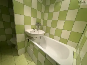 Pronájem bytu 1+kk, Most, U Věžových domů, 22 m2