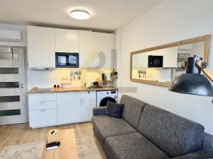 Pronájem bytu 1+kk, Břeclav, Břetislavova, 21 m2