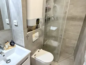 Pronájem bytu 1+kk, Břeclav, Břetislavova, 21 m2