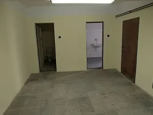 Pronájem skladu, Cheb, Dyleňská, 550 m2