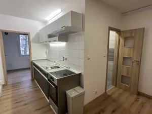 Pronájem bytu 2+1, Sokolov, Mánesova, 64 m2