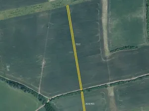 Prodej pole, Milotice, 7763 m2