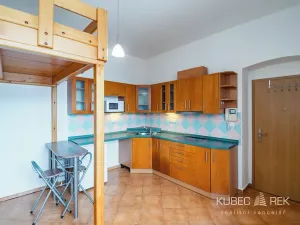 Pronájem bytu 1+kk, Tábor, Třebízského, 20 m2