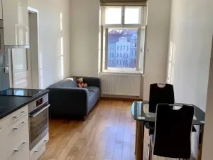 Pronájem bytu 2+kk, Praha - Smíchov, Elišky Peškové, 50 m2