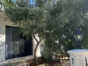 Prodej vily, Žaborić, Chorvatsko, 500 m2