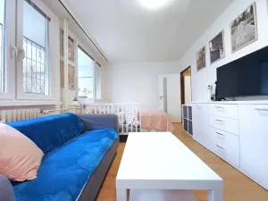 Prodej bytu 1+1, Čelákovice, Rumunská, 33 m2