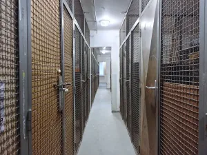 Prodej bytu 1+1, Čelákovice, Rumunská, 33 m2