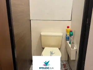 Pronájem bytu 1+kk, Teplice, Krušnohorská, 32 m2