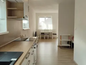 Pronájem bytu 1+kk, Plzeň, Klatovská třída, 47 m2