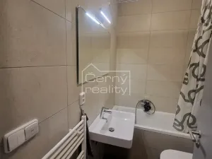 Pronájem bytu 1+kk, Chrudim, Podkopanický mlýn, 30 m2