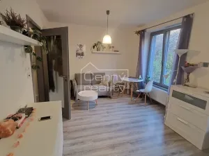 Pronájem bytu 1+kk, Chrudim, Podkopanický mlýn, 30 m2