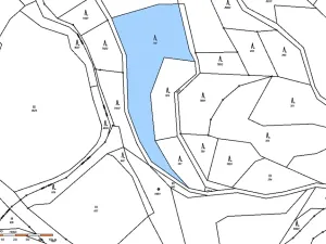 Dražba lesa, Záhoří, 3816 m2