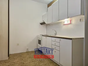 Pronájem bytu 1+1, České Budějovice, Netolická, 33 m2