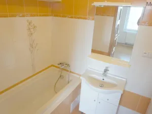 Prodej bytu 1+kk, Litvínov - Horní Litvínov, Podkrušnohorská, 33 m2