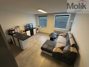 Prodej bytu 2+kk, Teplice - Trnovany, Přítkovská, 47 m2