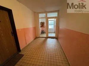 Prodej bytu 2+kk, Teplice - Trnovany, Přítkovská, 47 m2