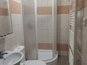 Pronájem bytu 1+1, Litvínov - Horní Litvínov, Mezibořská, 40 m2
