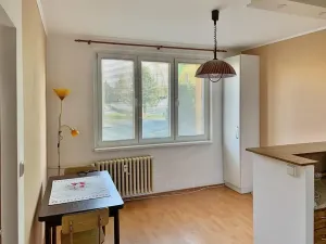 Pronájem bytu 1+1, Chodov, Čs. odbojářů, 36 m2