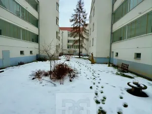 Pronájem bytu 2+kk, Praha - Žižkov, Hořanská, 50 m2