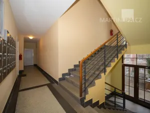 Prodej bytu 1+kk, Praha - Nusle, U družstva Ideál, 25 m2