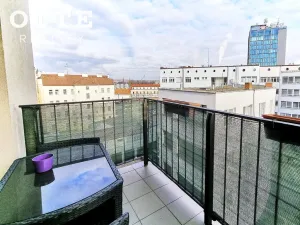 Pronájem bytu 2+kk, Plzeň, Šafaříkovy sady, 57 m2