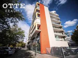 Pronájem bytu 2+kk, Plzeň, Šafaříkovy sady, 57 m2