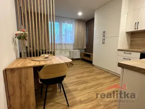 Pronájem bytu 1+kk, Opava - Kateřinky, Grudova, 21 m2