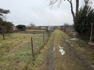 Prodej zahrady, Žatec, Holečkova, 170 m2