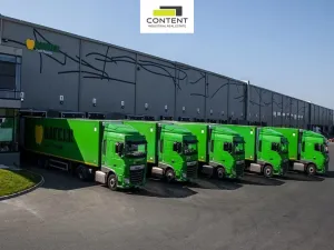 Pronájem výrobních prostor, Divišov - Měchnov, 10406 m2