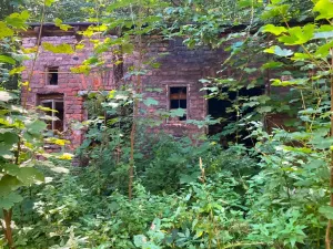 Prodej vícegeneračního domu, Žacléř, Na Štole, 800 m2