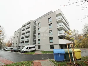 Pronájem bytu 1+kk, Plzeň, Heyrovského, 40 m2