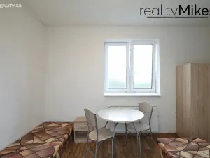 Pronájem ubytování, Dobrovice, 500 m2