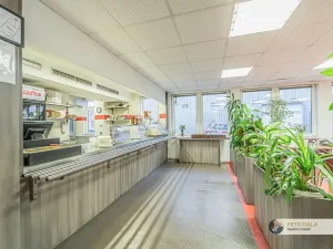 Pronájem kanceláře, Praha, Dopraváků, 240 m2