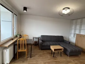 Pronájem bytu 1+kk, Hradec Králové, Jungmannova, 30 m2