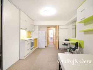 Pronájem bytu 1+kk, Praha - Nusle, K podjezdu, 29 m2