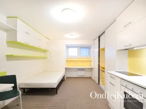 Pronájem bytu 1+kk, Praha - Nusle, K podjezdu, 29 m2