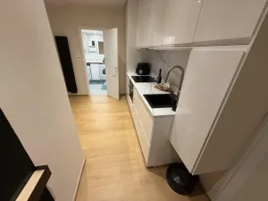 Pronájem bytu 1+1, Praha - Vinohrady, Šrobárova, 36 m2