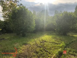 Prodej rodinného domu, Týniště nad Orlicí - Petrovičky, 115 m2