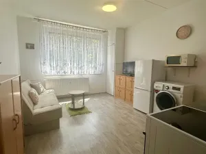 Pronájem bytu 1+kk, Cheb, Do Zátiší, 20 m2