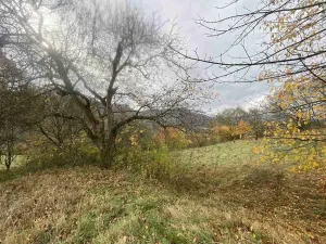 Prodej pozemku, Děčín - Děčín XXVII-Březiny, 4431 m2