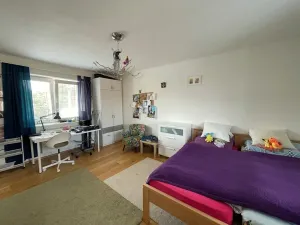 Prodej rodinného domu, Střelice, Smetanova, 250 m2