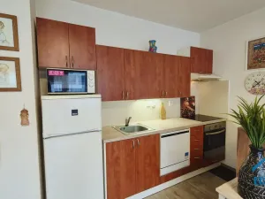 Prodej bytu 1+kk, Praha - Stodůlky, Sluneční náměstí, 30 m2