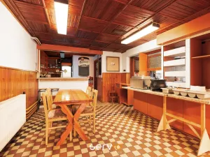 Prodej ubytování, Říčky v Orlických horách, 500 m2