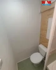 Pronájem bytu 1+1, České Budějovice - České Budějovice 7, Mánesova, 38 m2